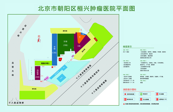 操我逼逼插我逼逼视频北京市朝阳区桓兴肿瘤医院平面图